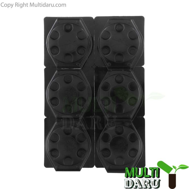 طعمه سوسک کش تار و مار 12 عددی