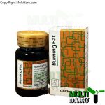 قرص برنینگ فت گلدن لایف 30 عددی