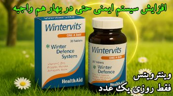 وینترویتس